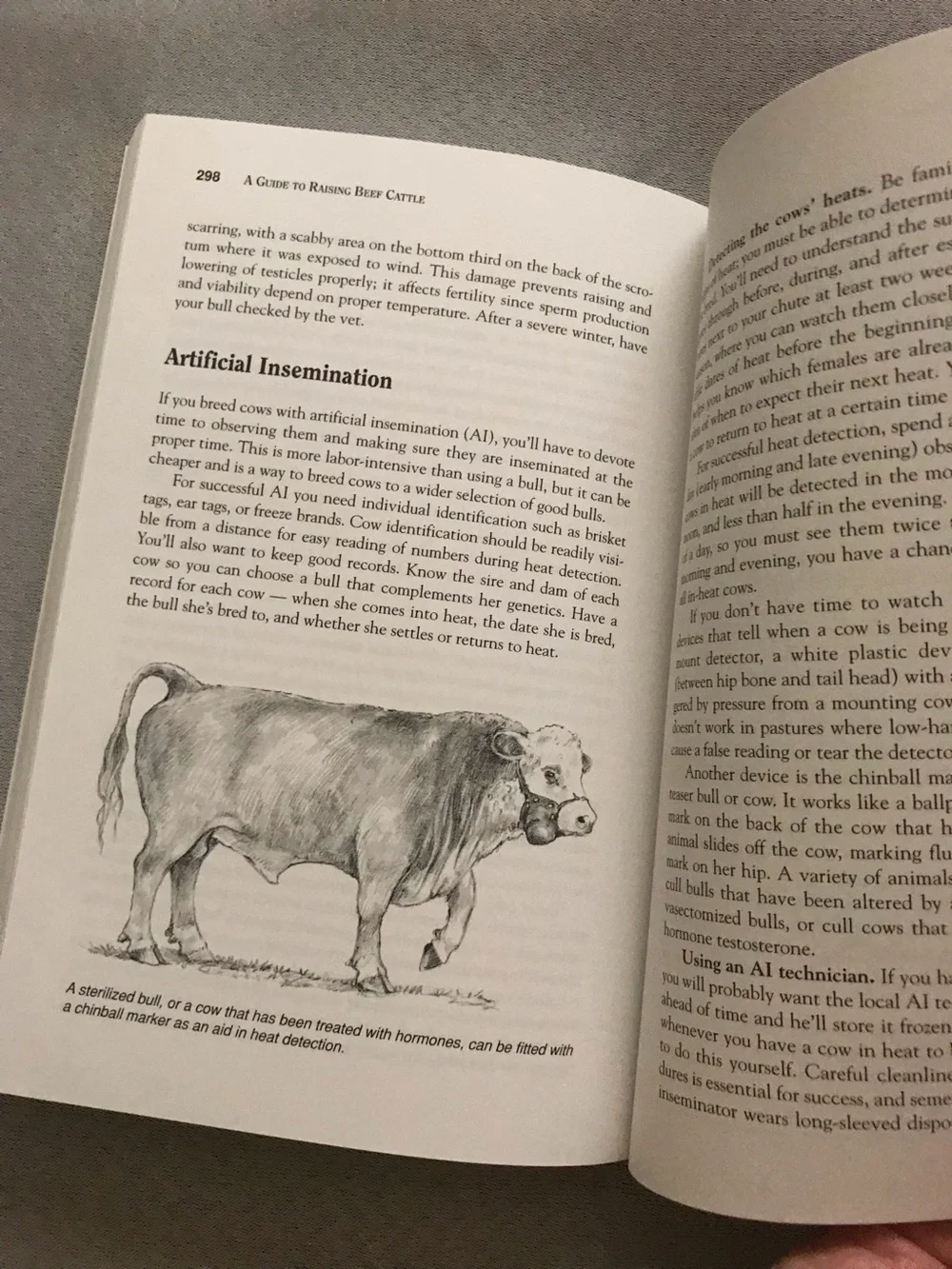 N/A storey’s guide